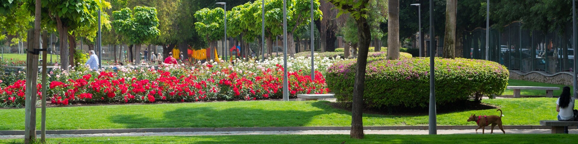 Ciudad Jardín showing flowers and a park