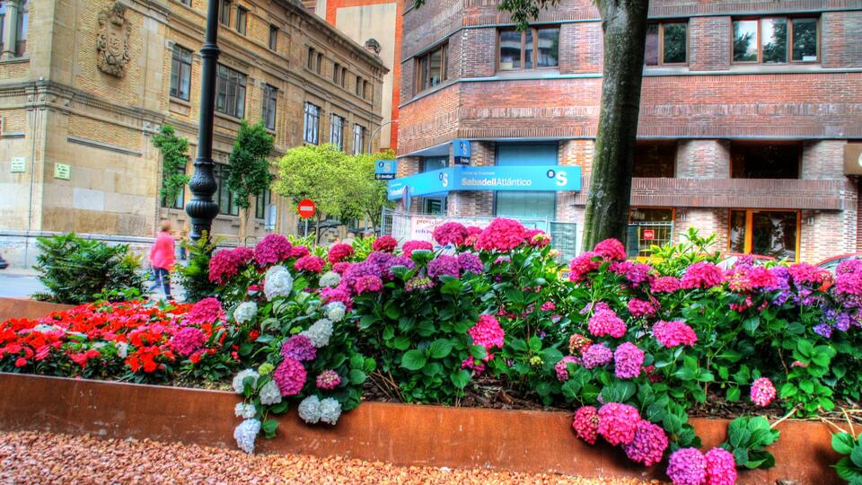 Flores Paseo de Pablo Sarasate