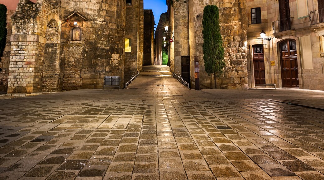 A historic stone square with a central pathway leading to a distant building.