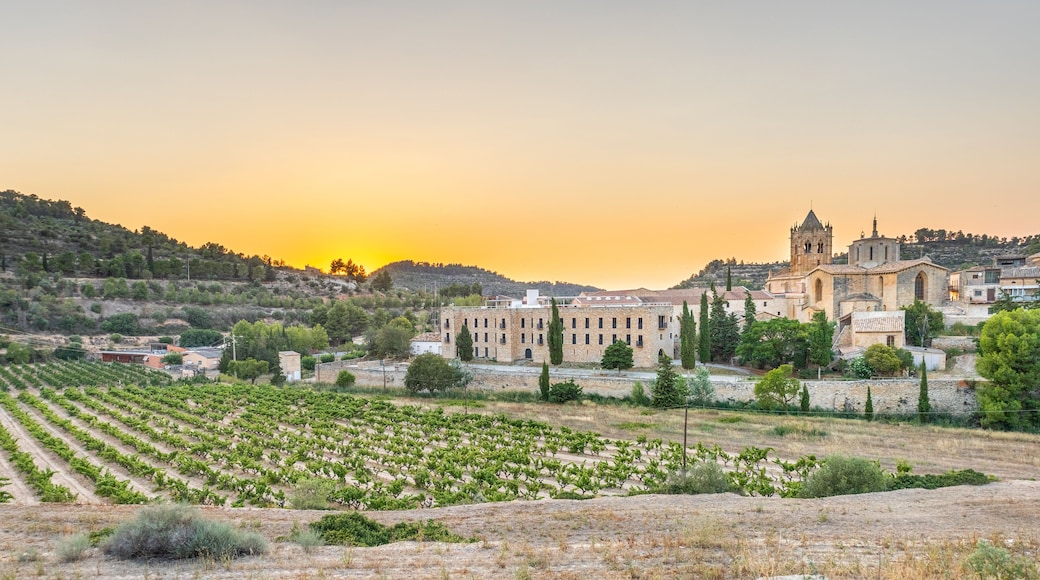 A vineyard, a historic building complex, and a hill with trees.