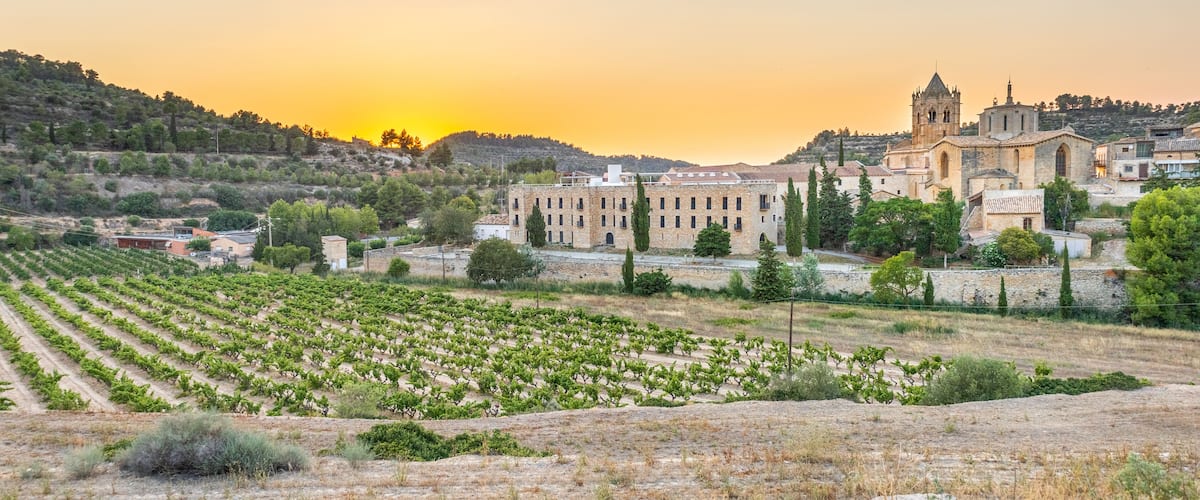 Un viñedo, un complejo de edificios históricos y una colina con árboles.