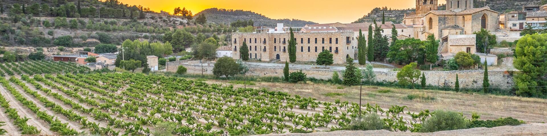 A vineyard, a historic building complex, and a hill with trees.