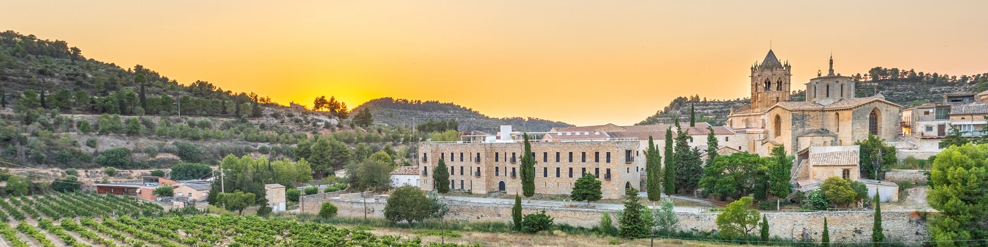 Um vinhedo, um complexo de edifícios históricos e uma colina com árvores.