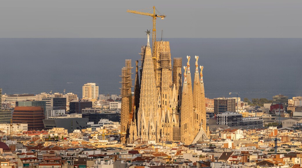 El Camp de l'Arpa del Clot