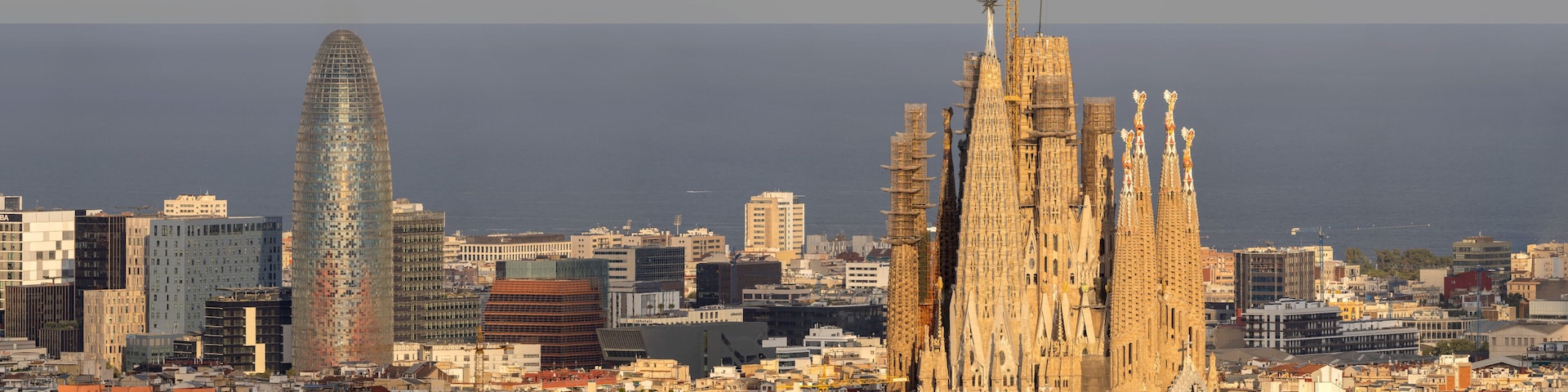 Tele view on Torre Glòries and Sagrada Familia in Barcelona, Spain, from Parque del Turó del Puxtet in golden hour