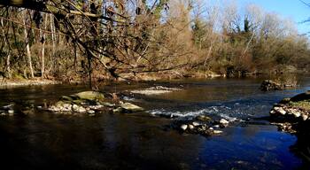 EL TER, PER TERRES SALTENQUES
