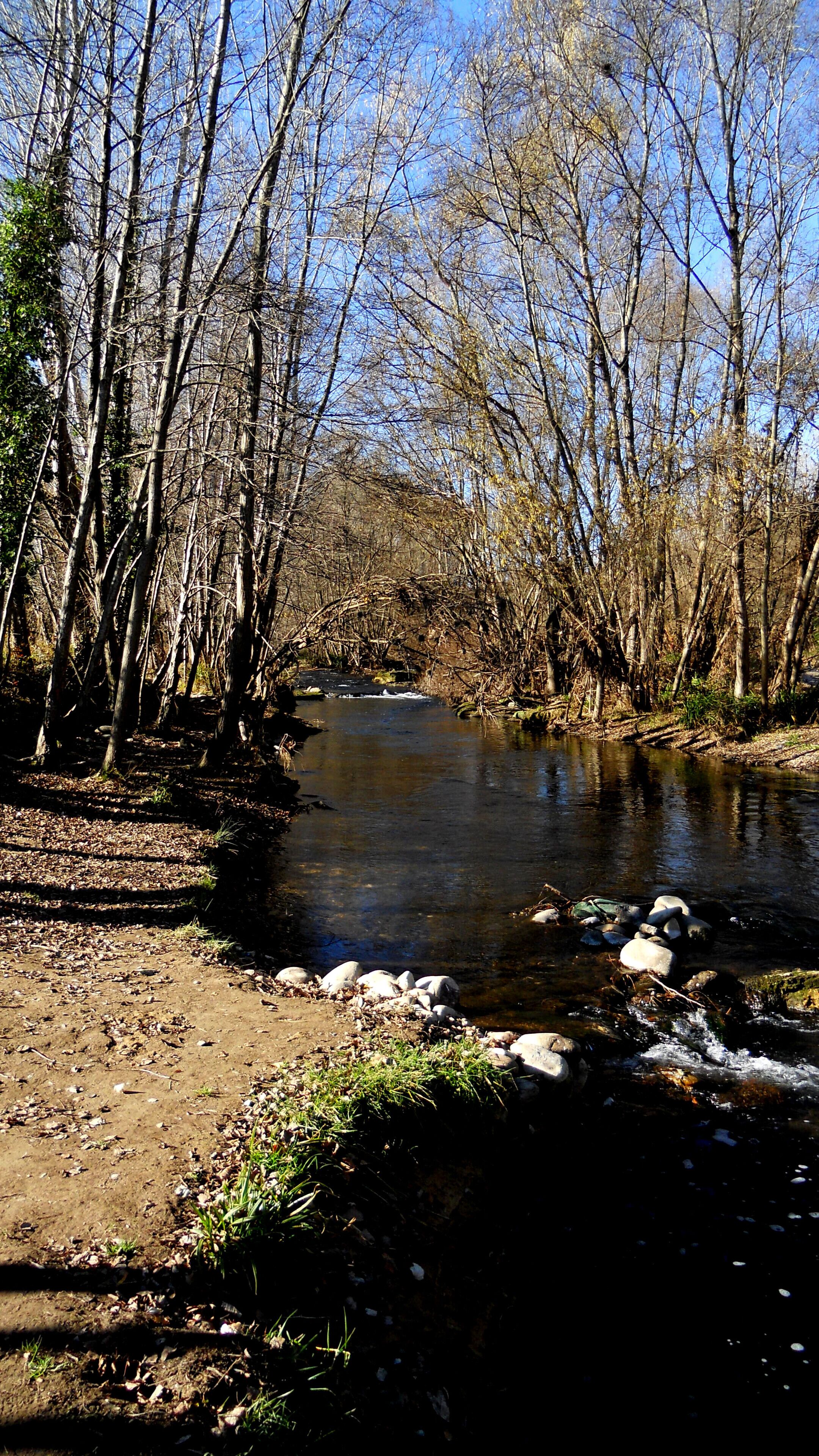 EL TER, PER TERRES SALTENQUES