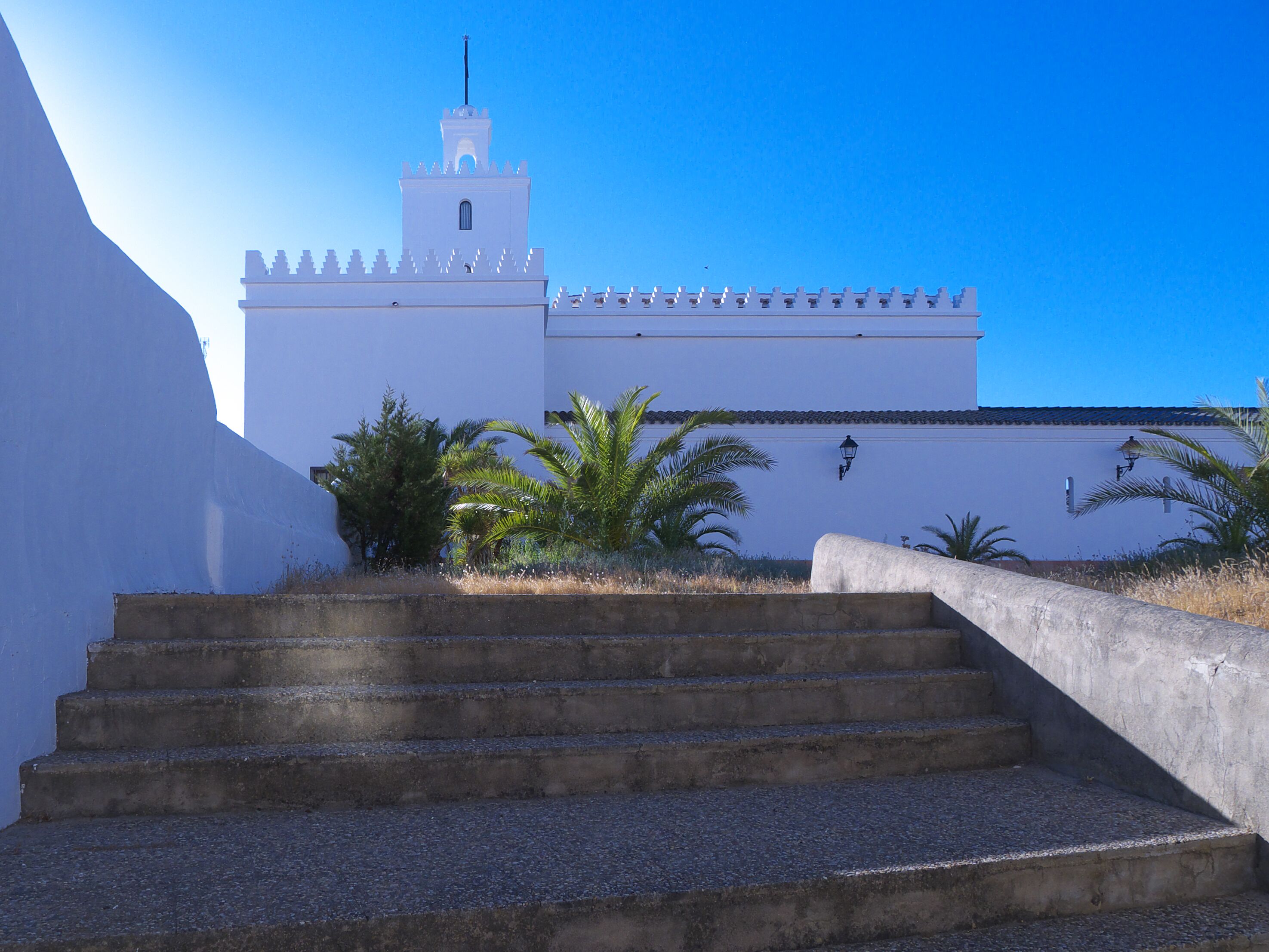 A white building with a tower, palm trees, and concrete stairs.