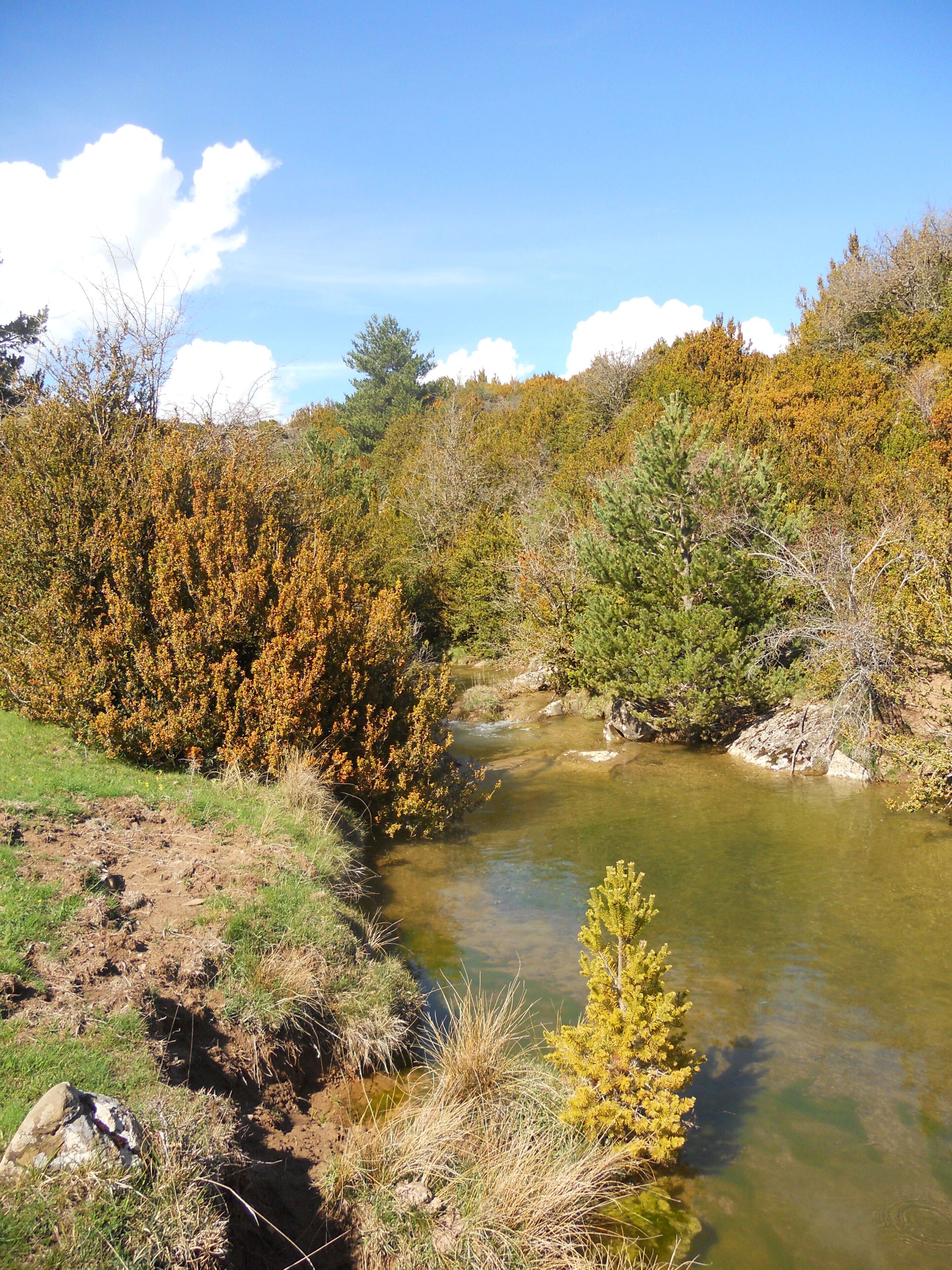 La naturaleza no deja de sorprendernos.