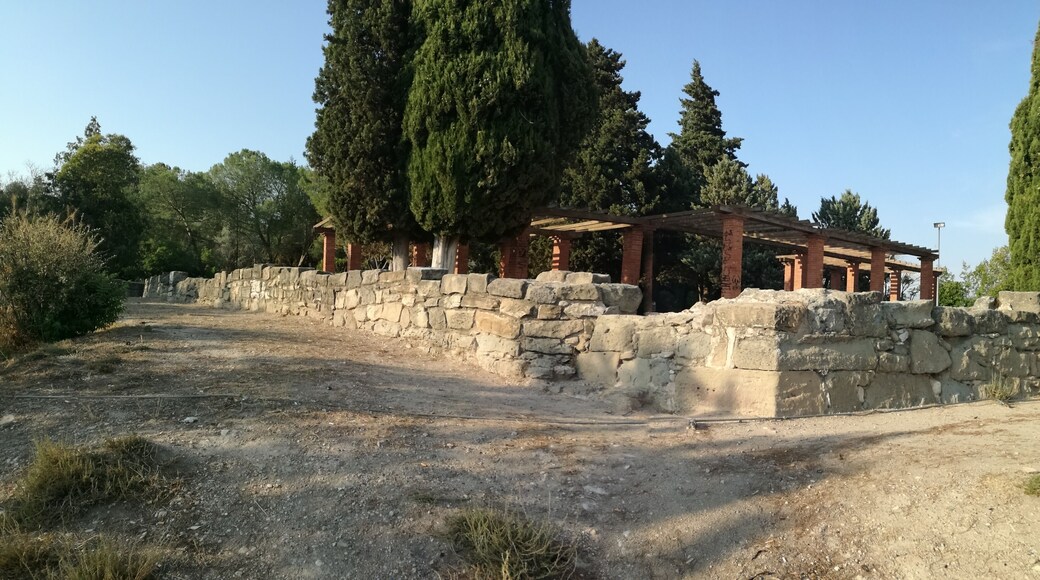 Restes de la fortalesa al Puigterrà, Manresa.