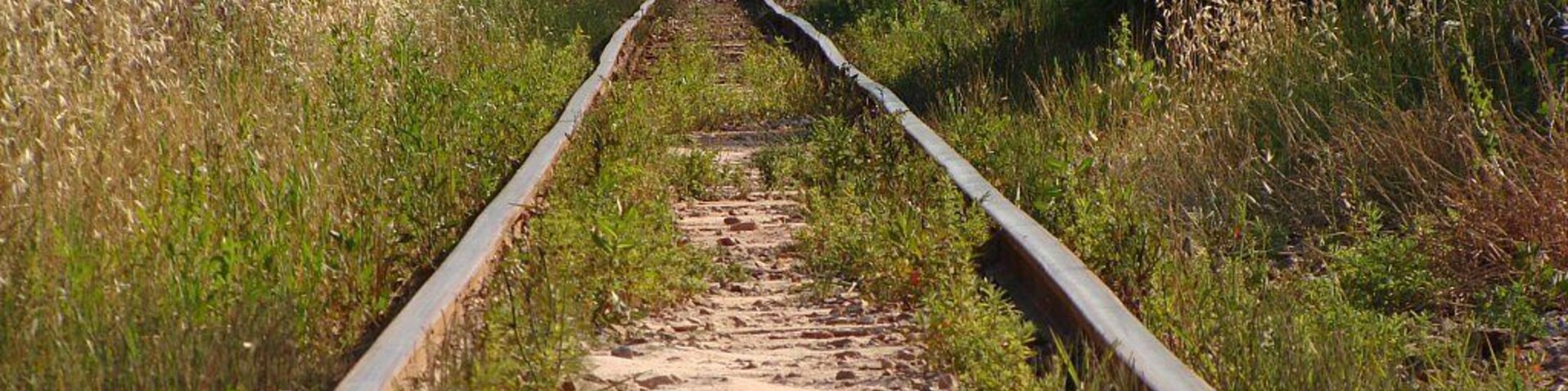 Aquesta es la segona rampa amb un desnivell que espanta, una recta molt llarga, potser deu tenir 1 km, tot i que en aquesta imatge només es veu la meitat. Al fons de tot be una corba de dretes i la primera recta on està el pont de l'Avinguda dels Dolors. Esta es la segunda rampa con un desnivel que asusta, una recta muy lasrga, puede que tenga 1 km, en esta imajen solo se ve la mitad. Al fondo de todo viene una curva de derechas y la primera recta donde está el puente de la Avinguda dels Dolors.