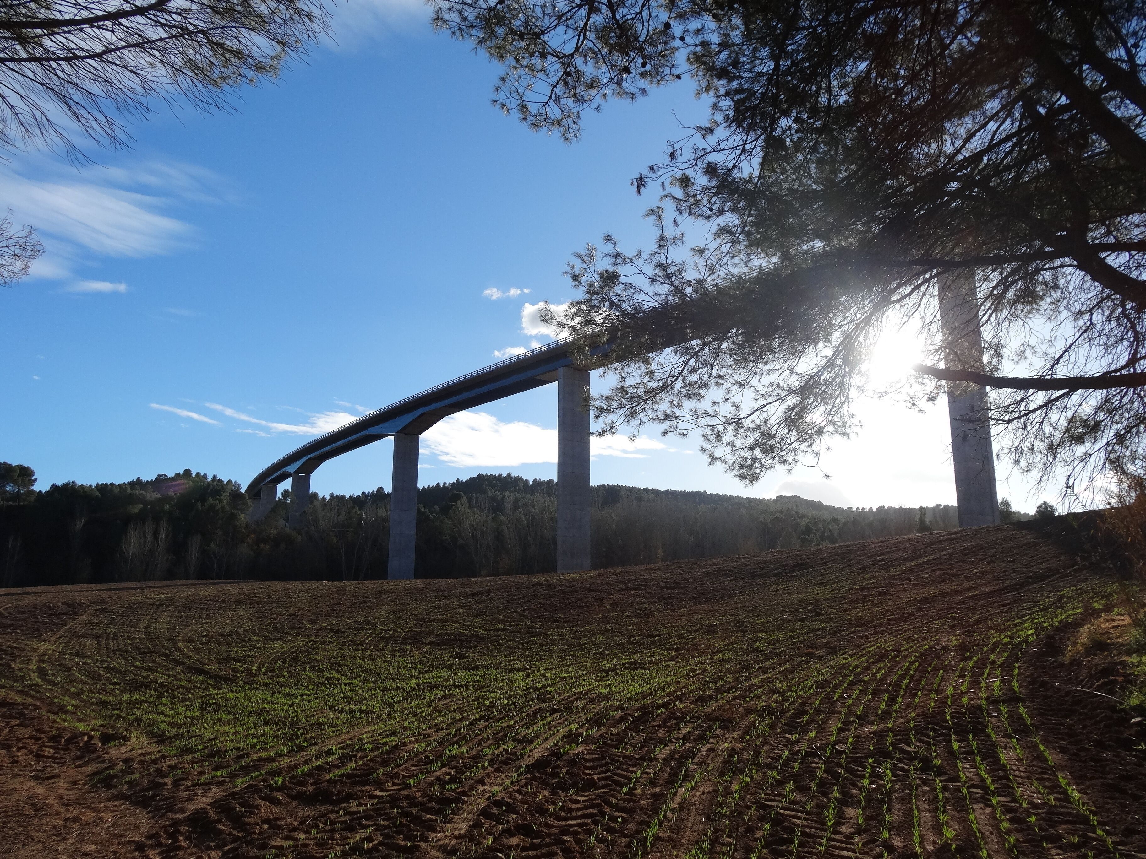 Viaducte de l'Eix Diagonal C-37 sobre la Riera de Rajadell, Manresa (desembre 2012)