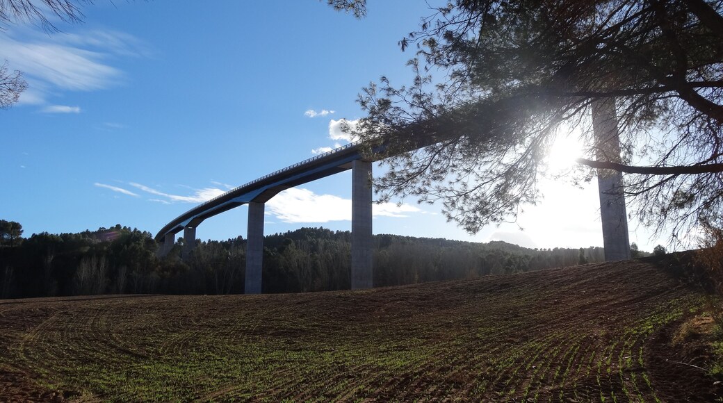 Viaducte de l'Eix Diagonal C-37 sobre la Riera de Rajadell, Manresa (desembre 2012)