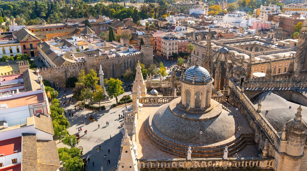 View of the Royal Alcazar, Plaza and Barrio Santa Cruz old town area from the Giralda Tower of the Seville Cathedral in Seville, Spain.