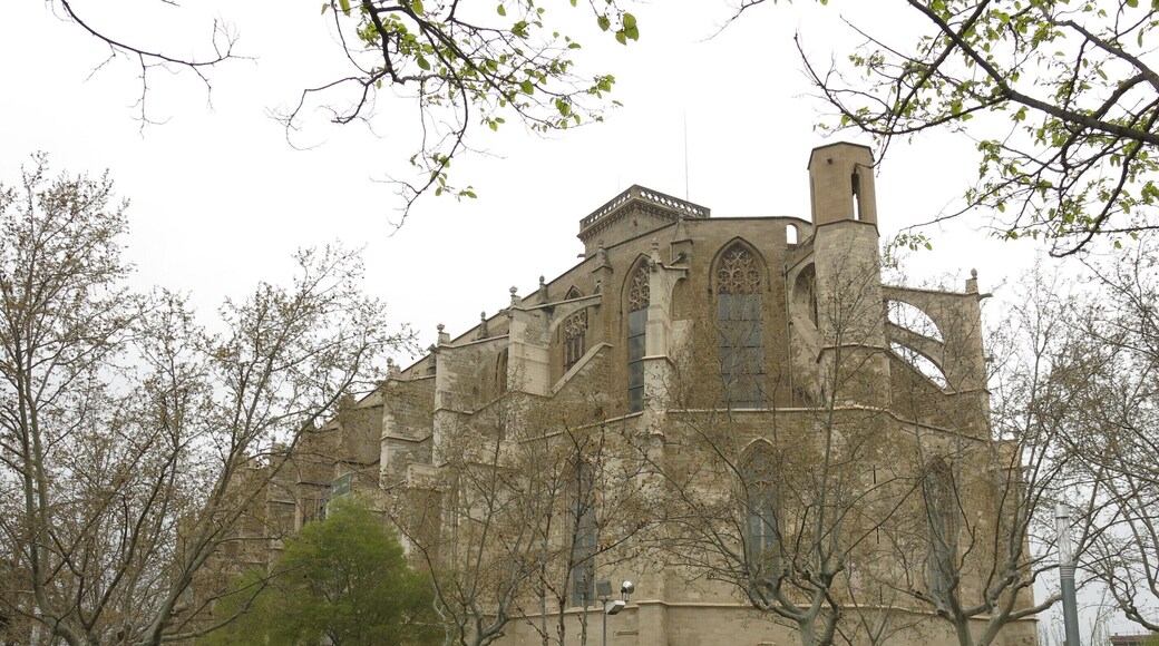 Església de Santa Maria de l'Alba (Manresa)