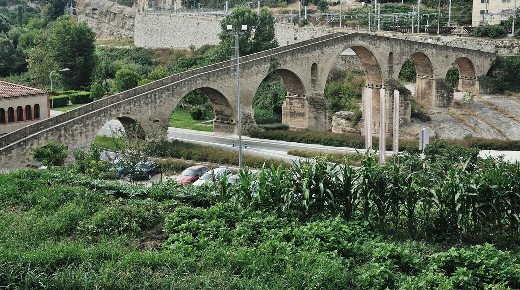 This is a photo of a monument indexed in the Spanish heritage register of Bienes de Interés Cultural under the reference ri-51-0001253.