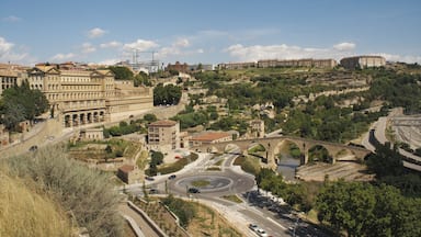A cityscape with historic buildings, a roundabout, and a river.