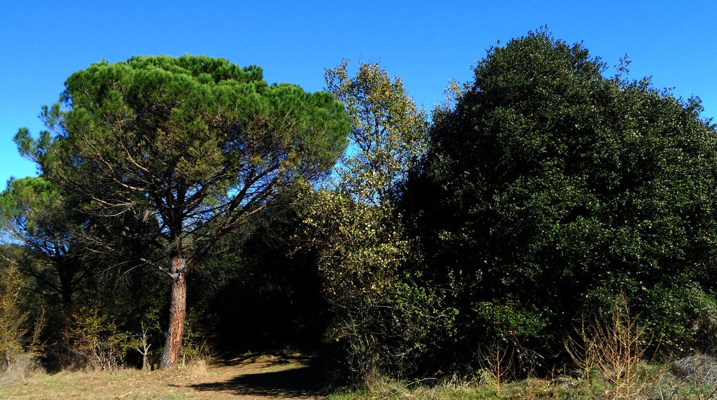 ENTRE GIRONA I LA CREUETA