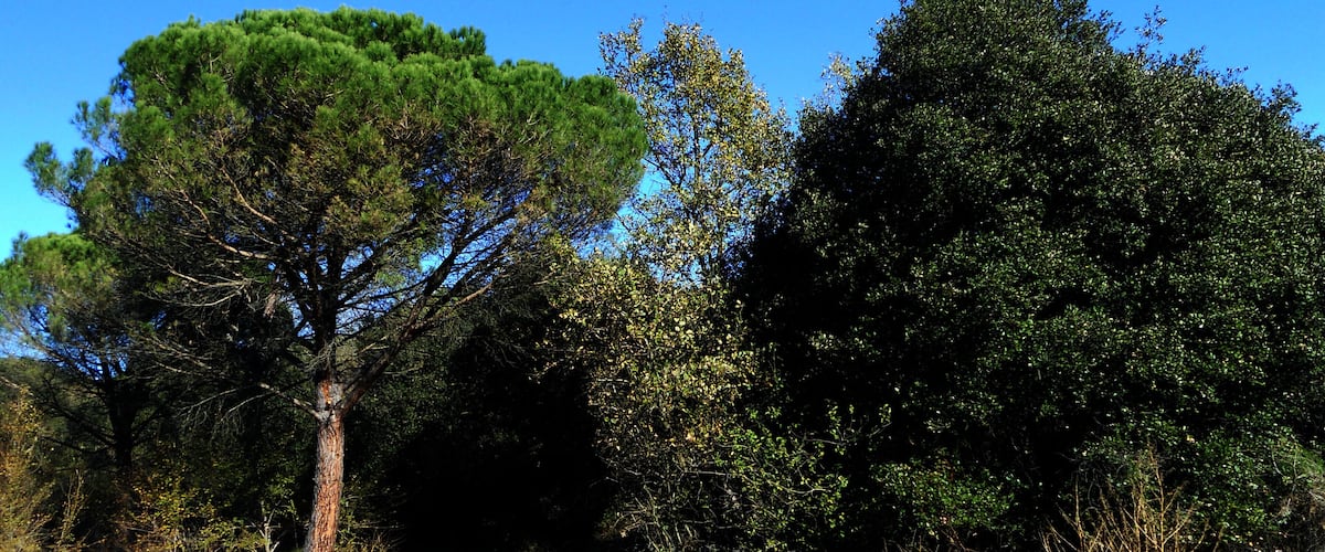 ENTRE GIRONA I LA CREUETA