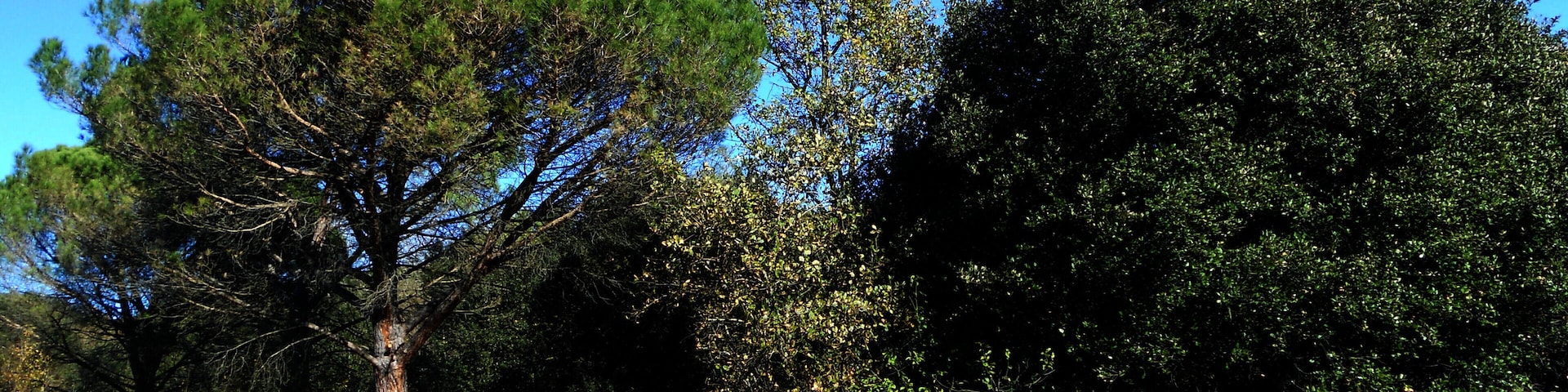 ENTRE GIRONA I LA CREUETA
