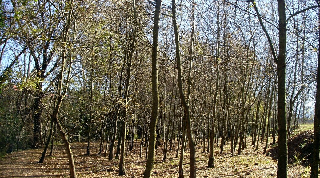 LES RIBES DE L'ONYAR (GIRONA)