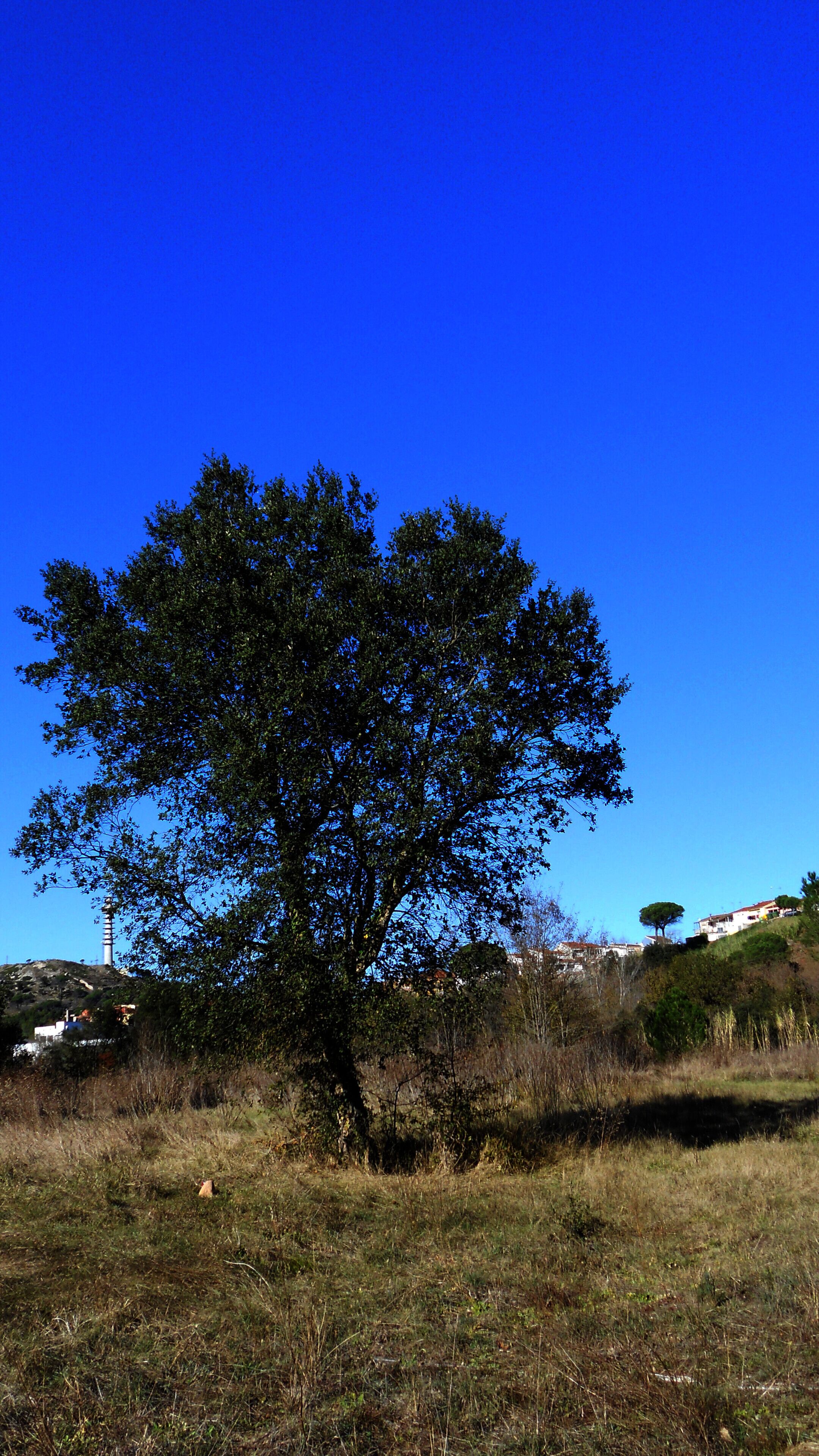 ENTRE GIRONA I A LA CREUETA