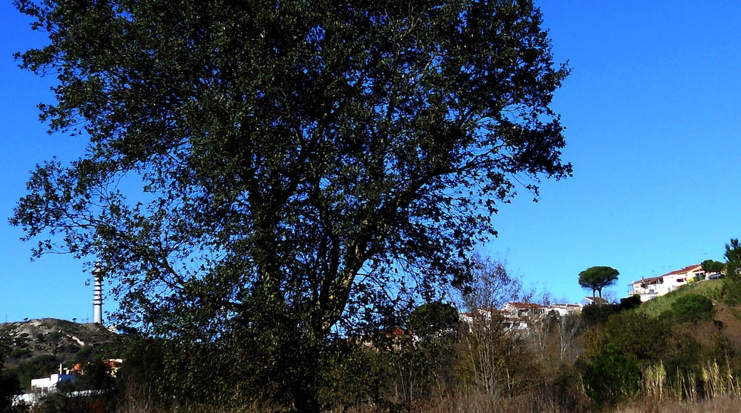 ENTRE GIRONA I A LA CREUETA