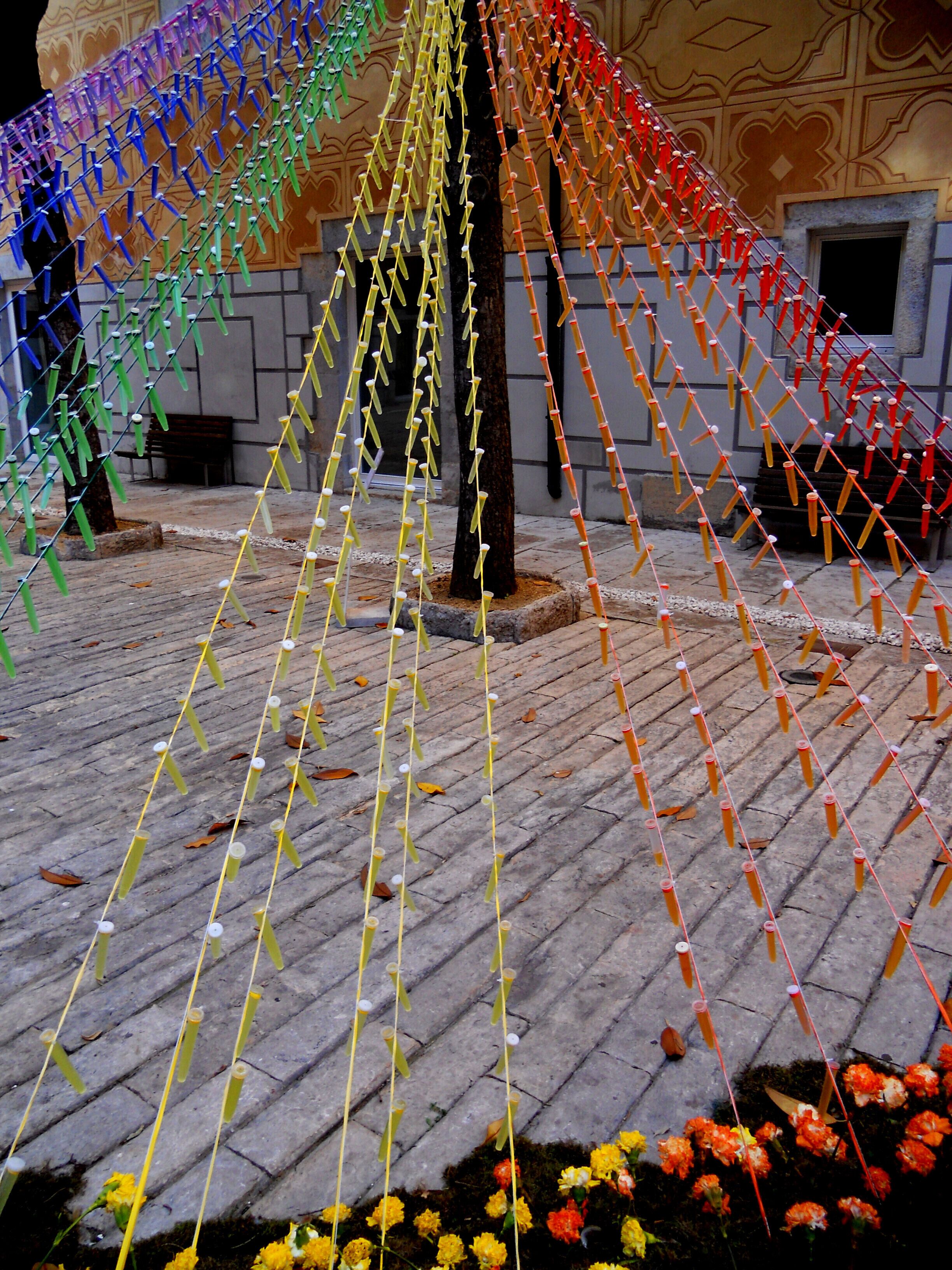 PATI DE LES MAGNÒLIES-SEU DE LA GENERALITAT DE CATALUNYA (GIRONA-TEMPS DE FLORS 2014)