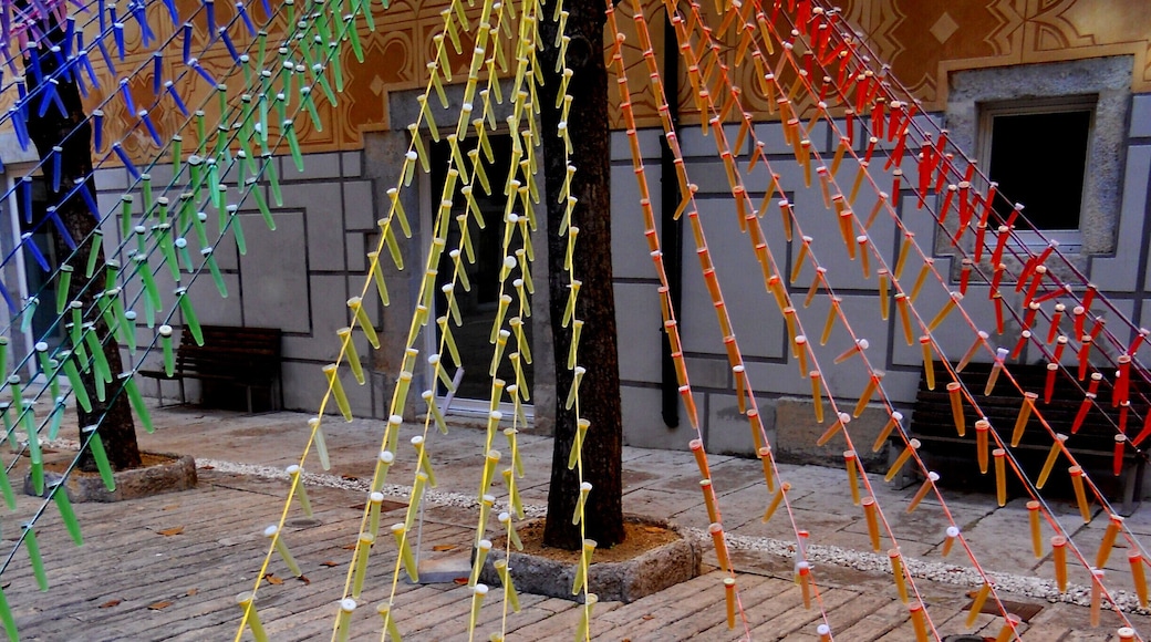 PATI DE LES MAGNÒLIES-SEU DE LA GENERALITAT DE CATALUNYA (GIRONA-TEMPS DE FLORS 2014)