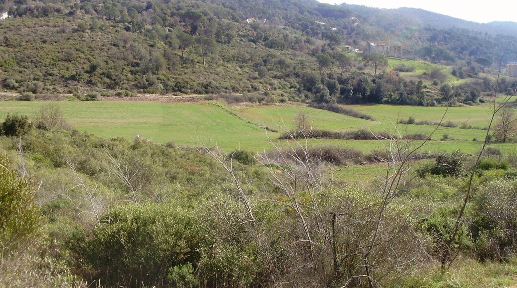 Vall de Sant Daniel (Girona)