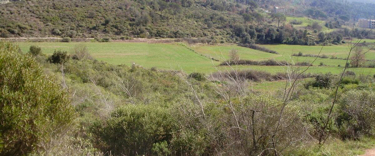 Vall de Sant Daniel (Girona)