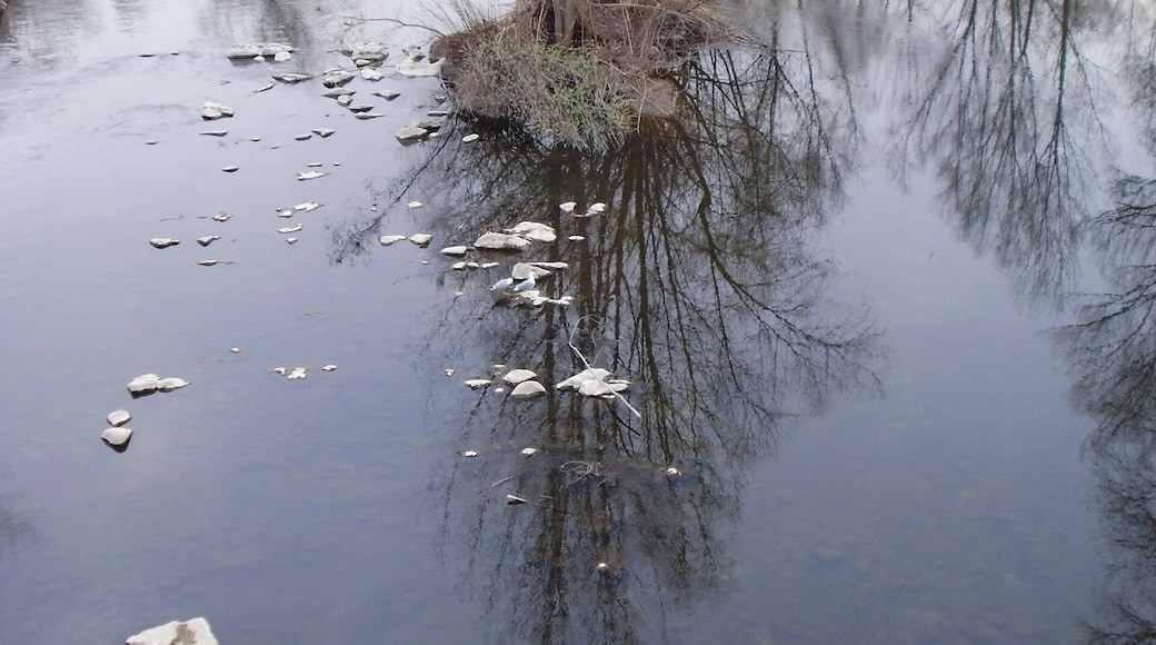 El mirall.El Ter.Girona.