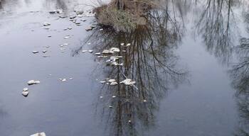 El mirall.El Ter.Girona.