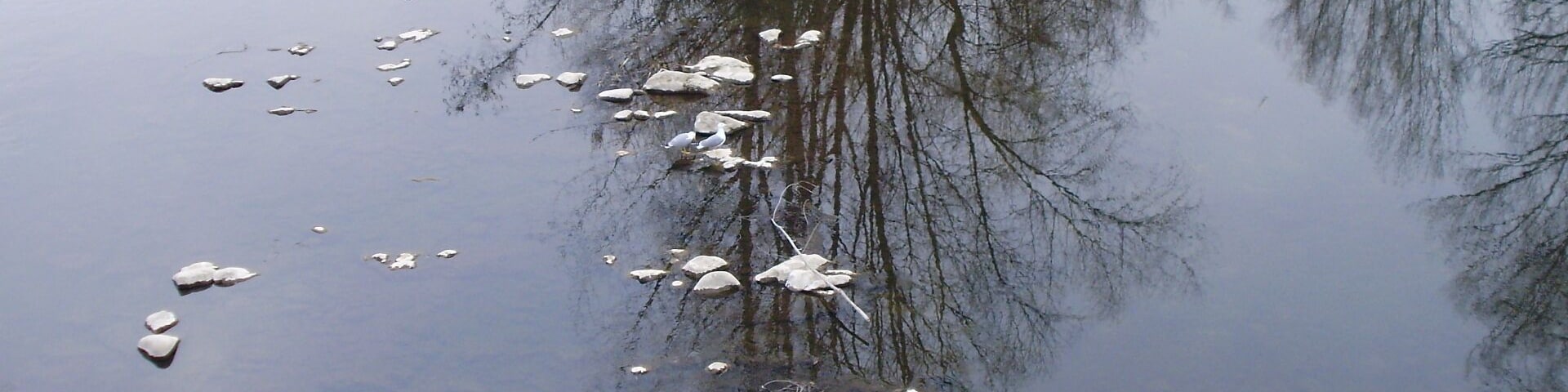 El mirall.El Ter.Girona.