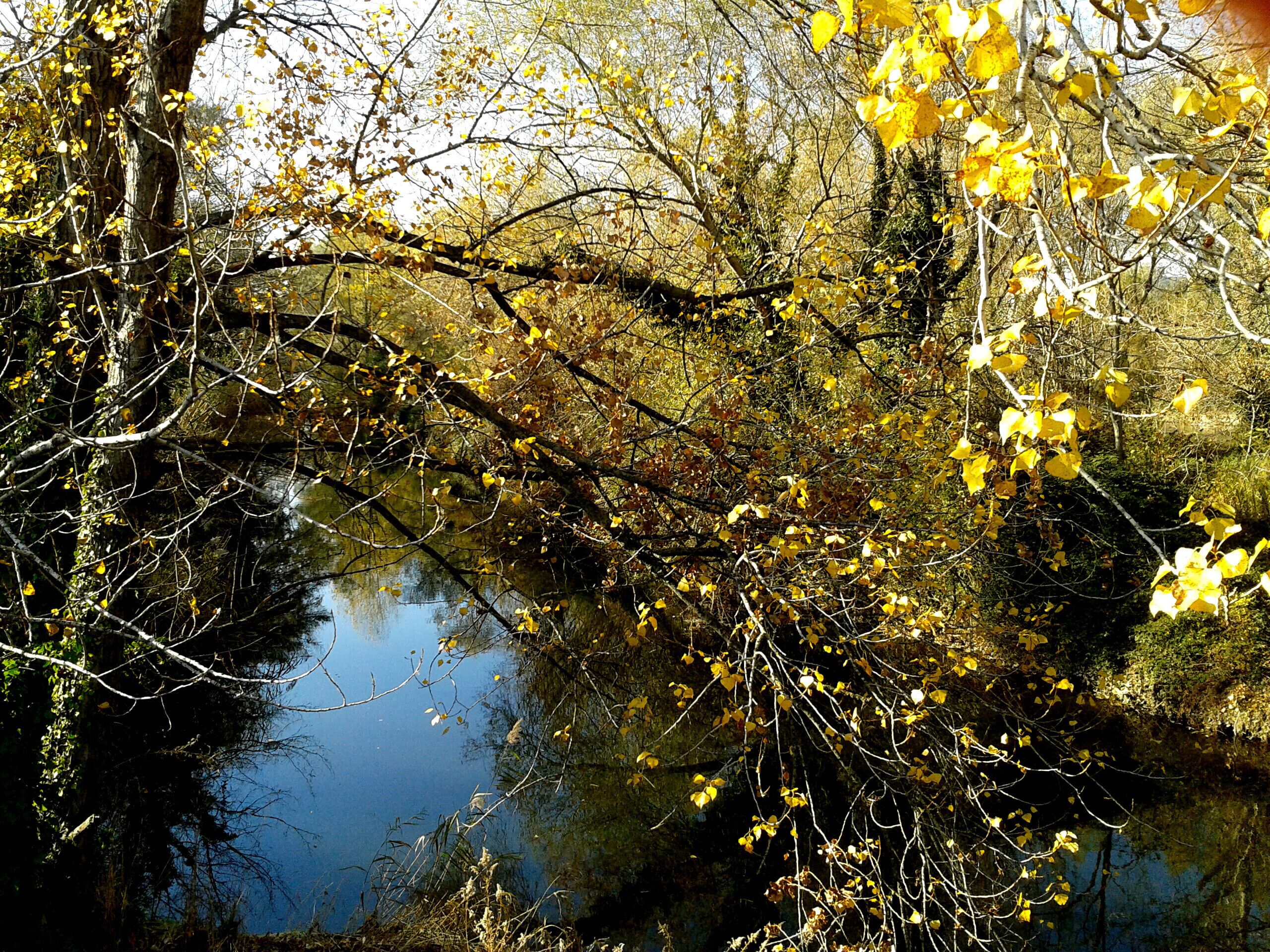 LES RIBES DE L'ONYAR (GIRONA)