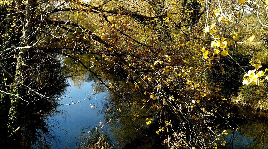 LES RIBES DE L'ONYAR (GIRONA)