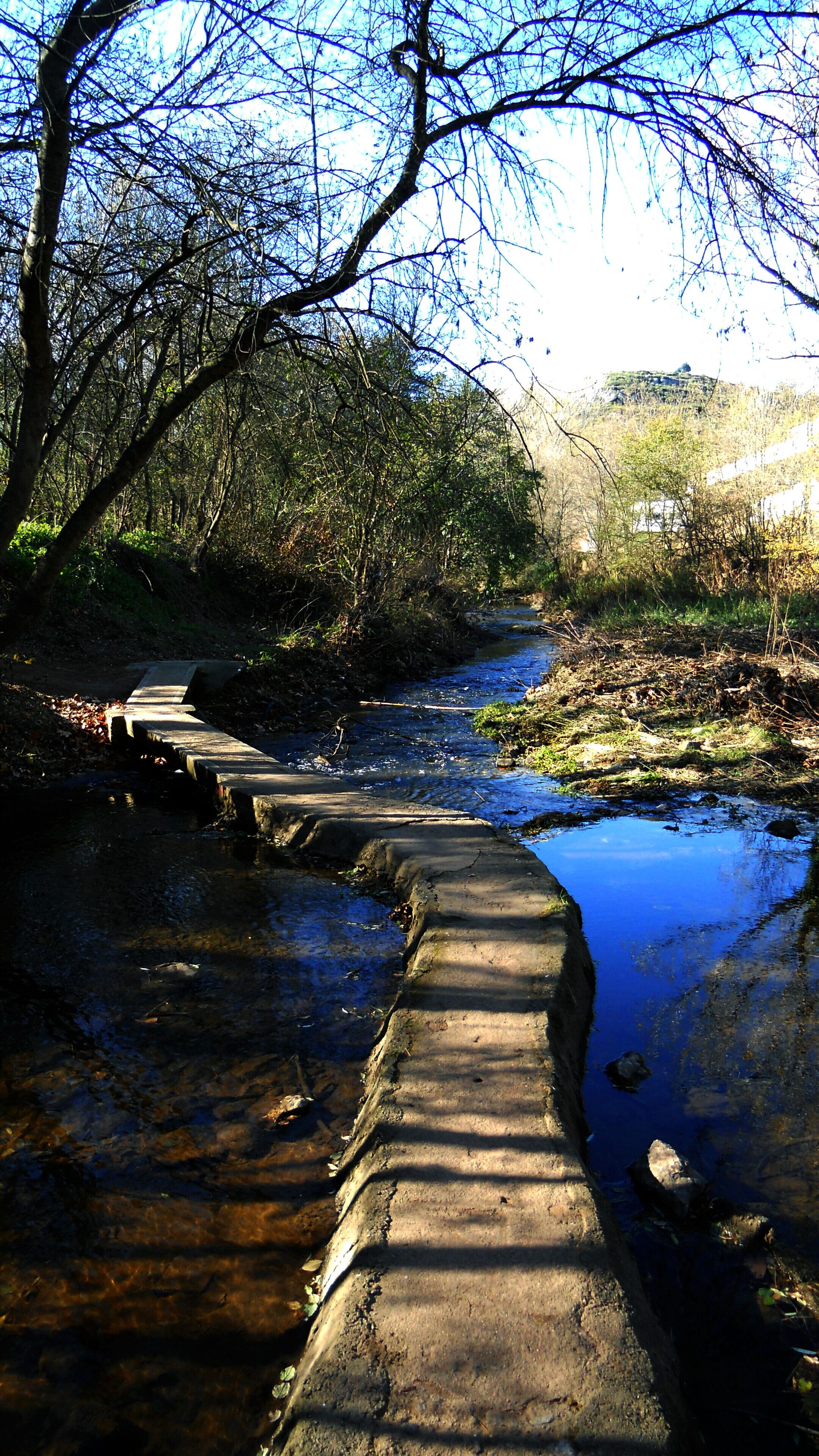 LES RIBES DEL RIU ONYAR (GIRONA)
