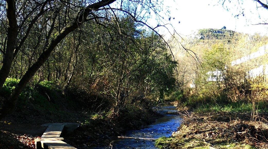 LES RIBES DEL RIU ONYAR (GIRONA)