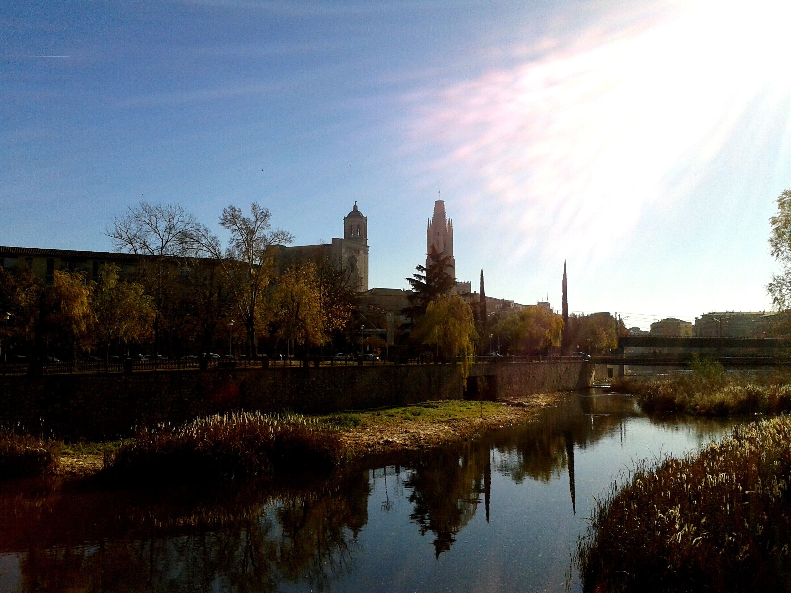 EL TER, CATEDRAL,ST FELIU (GIRONA)