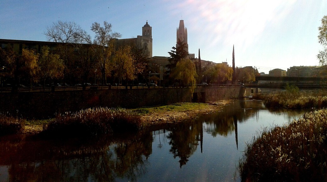 EL TER, CATEDRAL,ST FELIU (GIRONA)