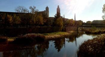 EL TER, CATEDRAL,ST FELIU