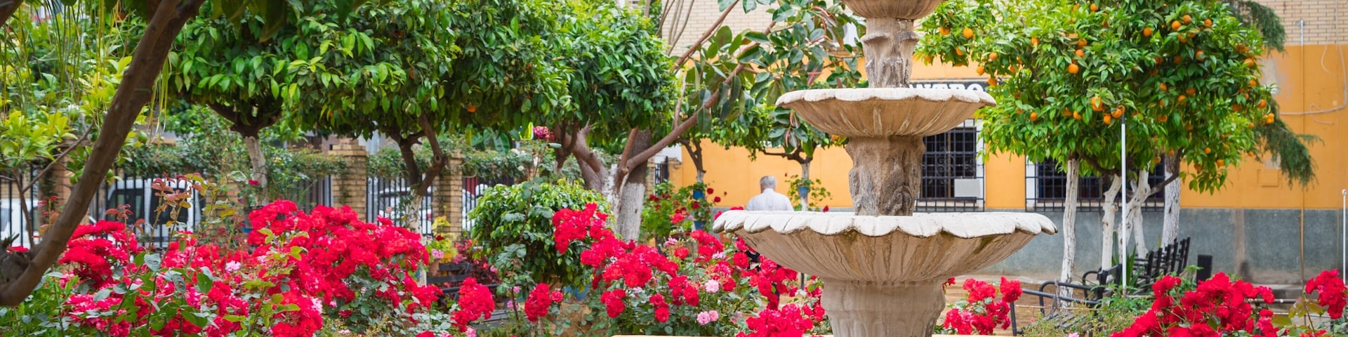 Bellavista which includes a garden, a fountain and flowers