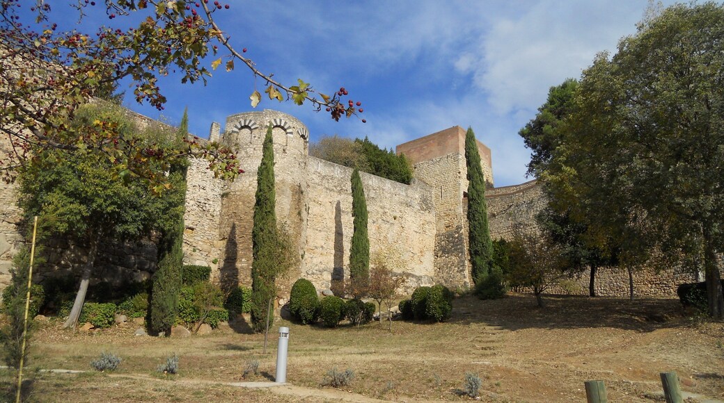 Detall de la muralla (Girona)