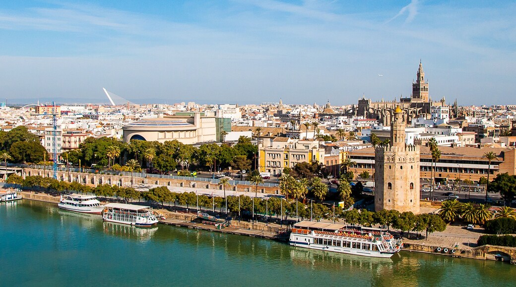 Panorámica de Sevilla