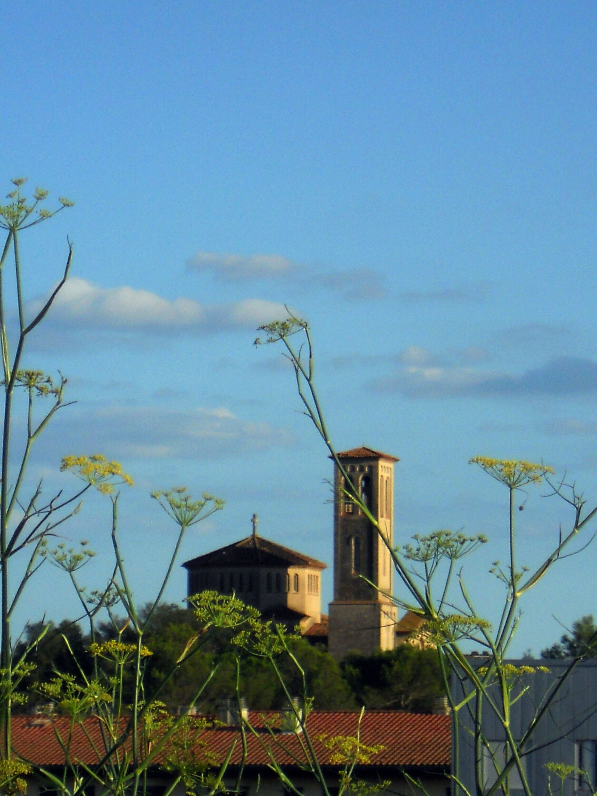 TORRE DE PALAU (PALAU-GIRONA)