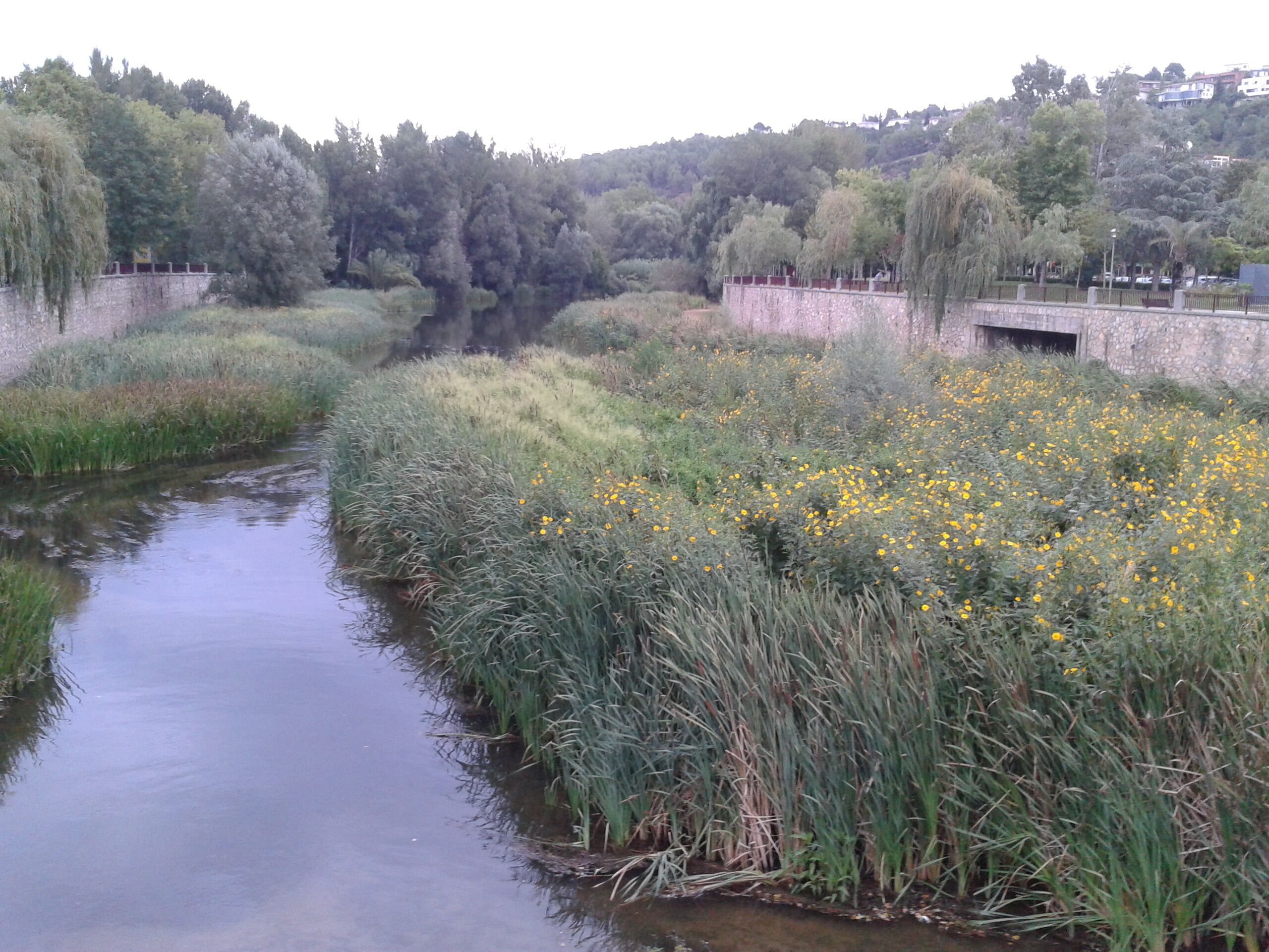 Girona, Province of Girona, Spain