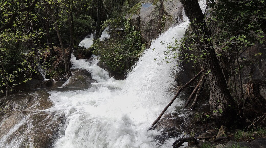 Gredos