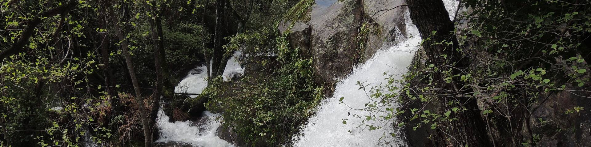 A waterfall cascading over rocks in a forested area.