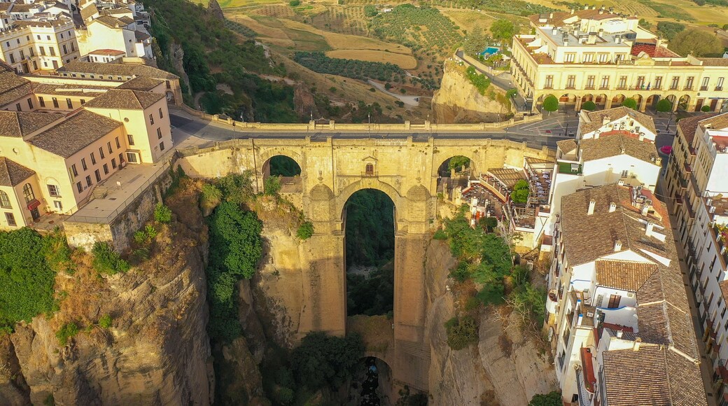 Ronda