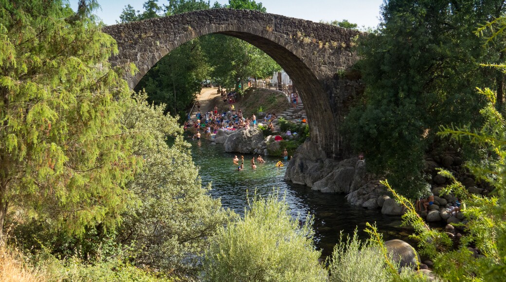 A stone bridge over a river, surrounded by trees and rocks.